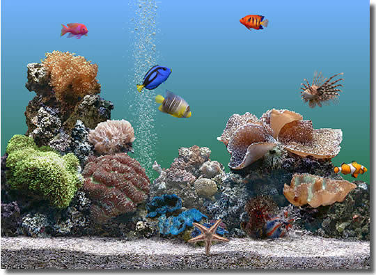 Marine Aquarium Screenshot